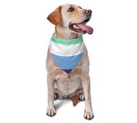 Mlm Pride Flag Gay Man Pride Spring Dog Bandanas Boy Bulk Cachorro Pañuelo Ajustable Suave Triángulo Baberos Accesorios para Perros Pequeños Medianos Grandes Gatos Blanco