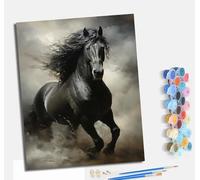 MLNMENG Pintura por Números Adultos Principiantes con Pinceles y Pinturas Acrílicas de Lienzo Decoración para el Hogar Con marco40 x 50 cm Caballos al galope entre las nubes y la niebla