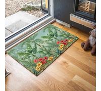 MLSOWM Alfombra Entrada Antideslizante, Palmeras Hojas Plátano Flores Hibisco Felpudo Entrada Casa Plantas Tropicales Alfombrilla Perfil Bajo, Absorbente, para Puerta, Pasillo, Oficina, 40x60cm