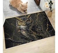 MLSOWM Alfombra Entrada Casa, 50x80cm Felpudo Grieta del Rayo Lavable Antideslizante Absorbente Alfombrilla Búho Felpudo Entrada Interior Duradera para Hogar Oficina Jardín, Pasillo, Gris Carbón
