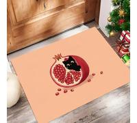 MLSOWM Alfombra Estilo Fruta Fresca de Pelo Corto, 60x120cm Felpudo Entrada Casa Granada De Gato Negro Antideslizante Lavables en Lavadora Tapetes para Habitacion Comedor Dormitorio, Coral