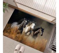 MLSOWM Felpudo Exterior e Interior, 60x90cm Alfombra Entrada Caballos Salvajes Antideslizante Felpudo Naturaleza Salvaje Lavable, fácil de Limpiar para Puerta de casa, balcón, jardín, Naranja Quemado