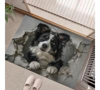 MLSOWM Felpudo Exterior e Interior, 90x150cm Alfombra Entrada Border Collie Antideslizante Felpudo Agujero De Pared 3D Lavable, fácil de Limpiar para Puerta de casa, balcón, jardín, Gris