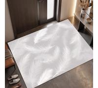 MLSOWM Felpudo Puerta Lujo Discreto Y Minimalismo, Alfombra Antideslizante, 80x120cm | Felpudo de Entrada Plumas Ondeantes, Tapete Lavable, Decora y mantén Limpio el Interior, Gris Plateado
