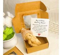 Mlthcig Little Bear in Box, My Little Worry Bear in a Box, Pocket Bears Hug, Handmade Mini Plush Teddy Bears with Hat, Send a Friend Stuffed Animals Sympathy Gift with Inspirational Card(marrón)