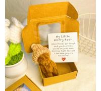 Mlthcig Little Bear in Box, My Little Worry Bear in a Box, Pocket Bears Hug, Handmade Mini Plush Teddy Bears with Hat, Send a Friend Stuffed Animals Sympathy Gift with Inspirational Card(Coffee)