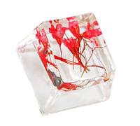 MLWSKKING Transluctes hechos a mano únicas Keycap de resina con detalle genuino flores secas para teclados mecánicos