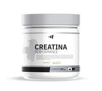 MM Supplements - Creatina Performance 300g - Creatina Creapure + Minerales + Electrolitos + AstraGin - Máximo Rendimiento e Hidratación - Aumento Masa Muscular - Sabor Manzana Verde