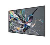 MMD - PHILIPS 50IN Direct LED 4K Android 8 LFD