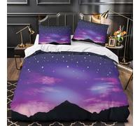 MMDASBVPE Mapache Nocturno Funda de Edredón 3 Piezas Suave Impresión 3D Cierre de Cremallera Oculta con Fundas de Almohada Lavables Vida Salvaje fantástica Funda Edredon for Familia Double（200x200cm）