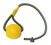 MMSGA - Pelota para Perros con Cuerda, Bola de Entrenamiento para Perros de Espuma, Bola Flotante para Perros, Juguete de Remolque para Perros de Gran tamaño (Trompeta Bola)