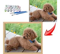 mnbhj Pintura Al Óleo Personalizada Según Tus Fotos,Graba Buenos Momentos, Pintar Por Numeros Niños Adulto Pintura Al Oleo, Regalos Personalizados(40 * 50CM,Sin marco)