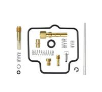 MNEUEQ Kits de Juntas de diafragma 1 Juego De Kit De Reparación Carburador Modificado para Motocicleta Piezas Reparación De Carburador para Suzuki para Ozark 250 LTF 250 2002-2012