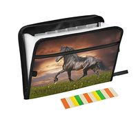 Mnsruu Black Horse Sunset - Carpeta de archivos expandible de 13 bolsillos con etiquetas, organizador de archivos de acordeón, papel A4, para oficina, escuela, estudiante