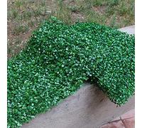Mnsun - Tapetes de pared para plantas artificiales, seto artificial, 60 x 40 cm, vertical, jardín, privacidad, seto, decoración de pared, plantas artificiales verdes artificiales para decoración del