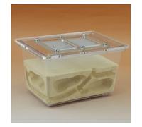 MOBAAK Hormiguero Granja De Hormigas Ant Castle Research Ecosystem Ant Farm Granja De Hormigas Tetraédrica Pequeña 5.1x3.5x3.1 Pulgadas Granja De Nidos De Hormigas Hormiguero para Adulto
