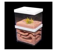 MOBAAK Hormiguero Granja De Hormigas Granja De Hormigas De Yeso, Nido De Hormiga Grande Ecológico Natural, Taller De Castillo para Insectos, Hormiguero para Mascotas Hormiguero para Adulto(16cm)