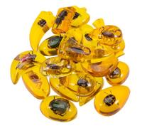 Mobestech 10 Piezas encantos resina insectos bricolaje ámbar especímenes regalos para familia regalo para familia collar artesanías resina insecto resina ámbar insectos en resina