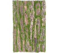 Mobestech Fondo de Terrario Corteza de Corcho para Reptiles 30X50 CM Accesorio Natural para Decoración y Plataforma Segura de Escalada para Serpientes y Lagartos