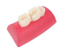 MOBUTOFU Herramienta de Práctica de Conducto Radicular para Profesionales Dentales y Estudiantes, Plástico Duradero Mantenimiento Sencillo para Clínicas Dentales y Formación Avanzada