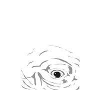 Moby-Dick; or, The Whale