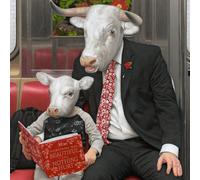 Moby Everything Was Beautiful, And Nothing Hurt (CD) (Importación USA)