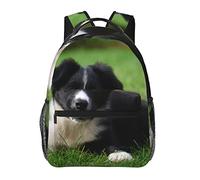 Mochila de viaje para laptop, cachorro, perro, frontera, collie, perro, raza, mochila duradera, bolsa de computadora portátil, regalo para hombres, mujeres y adultos