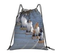 Mochila deportiva con cordón para perros, Border Collie, Shetland Sheepdogs, Alaskan, resistente al agua, para gimnasio, para mujeres y hombres.