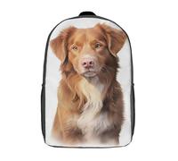 Mochila escolar con estampado 3D de Brittany Spaniel para niñas, mochila informal para niños, mochila ligera para estudiantes de secundaria, Nova Scotia Duck Dog, 17"