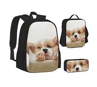 Mochila escolar con estampado de mariposas naranjas para adolescentes, niñas, niños, bolsas escolares con bolsa de almuerzo, bolsa de lápices, juegos de mochila de viaje, Lindo Corgi., Talla única