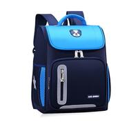 Mochila Escolar FANDARE para Niños 4-12 Años, Mochila Impermeable de Tela Oxford con Solapa y Tiras Reflectantes, 28L Mochila Grande para Primaria Niños Niñas Azul Lago