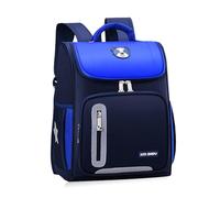 Mochila Escolar FANDARE para Niños 4-12 Años, Mochila Impermeable de Tela Oxford con Solapa y Tiras Reflectantes, 28L Mochila Grande para Primaria Niños Niñas Azul Cielo