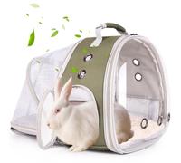 Mochila expandible para animales pequeños, bolsa de viaje portátil, jaulas de transporte transpirables para cobayas, dragón barbudo, lagarto, conejo, ardilla, gatito, deslizador de azúcar (verde