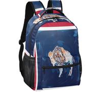 Mochila informal de estilo moderno, forro de piel de melocotón, 6 compartimentos para niños y niñas, Bandera de pintura al óleo de Wyoming, Small, Mochila de día