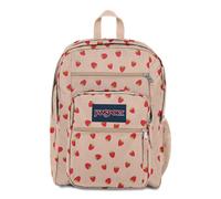 Mochila para computadora porttil de Jansport - bolsa de computadora con 2 compartimentos correas ergonmicas para el hombro 15 manga laptop mango de