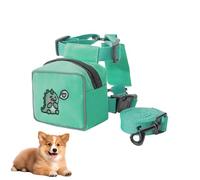 Mochila para llevar perros - Arnés para perros con mochila, mochila de dibujos animados para perros con correa para perro, chaleco de colores, arnés para caminar, oso, conejo, patrón de dinosaurios