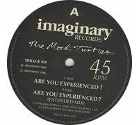 MOCK TURTLES - ARE YOU EXPERIENCED 12 inch (12" Vinyl) UK IMAGINARY 1990