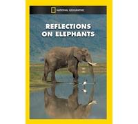 Reflections On Elephants [Edizione: Stati Uniti] [USA] [DVD]