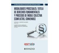 Modalidades procesales: tutela de derechos fundamentales y procesos de índole colectiva: (Conflictos, convenios) (Monografías)