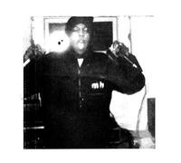 Model Home - One Year [Vinilo]