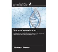 Modelado molecular: Interacción de la NDP quinasa con pBR322 y el elemento responsable del potenciador MMP-2 (RE-1)
