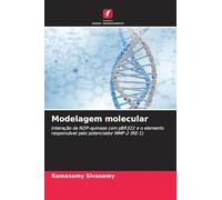 Modelagem molecular: Interação da NDP-quinase com pBR322 e o elemento responsável pelo potenciador MMP-2 (RE-1)