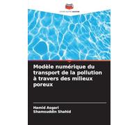 Modèle numérique du transport de la pollution à travers des milieux poreux