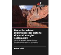 Modellizzazione multiflusso dei sistemi di canali e argini sottomarini: Uno studio dei fattori che influenzano la formazione, l'interazione e l'architettura
