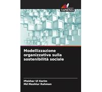 Modellizzazione organizzativa sulla sostenibilità sociale