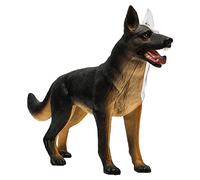 Modelo anatómico canino didáctico, rompecabezas 4D, juguete ensamblado, simulación de animal, modelo de órgano canino lobuno para biología, herramienta de demostración veterinaria, modelo de esqueleto
