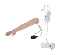 Modelo Anatómico de Brazo para Punción Arterial y Inyección, Cuerpo Humano Desmontable, Práctica de Anatomía Humana con Pulsación Simulada