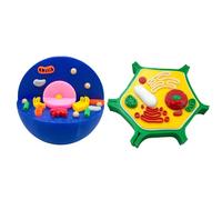 Modelo anatómico de células animales y vegetales, modelo anatómico de células vegetales, herramienta de enseñanza de clase de biología, herramientas de educación de ciencias de la escuela secundaria