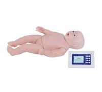 Modelo Anatómico de Cuerpo Humano para Entrenamiento Médico