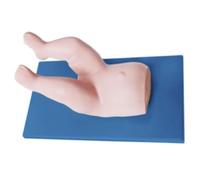 Modelo Anatómico de Cuerpo Humano para Reducción de Cadera, Modelo de Entrenamiento de Anatomía Humana con Pelvis y Extremidades Inferiores